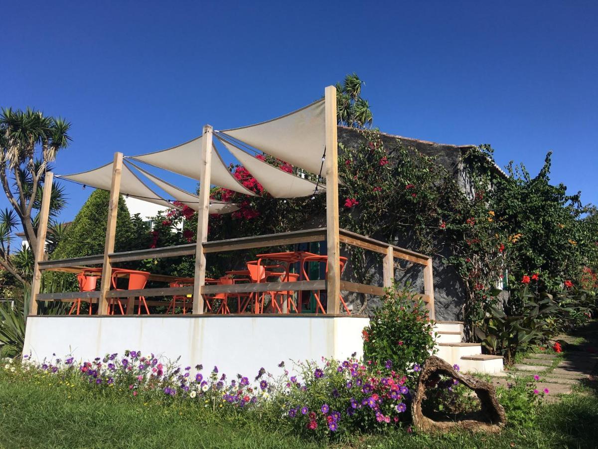 Castelo Branco  Quinta Das Buganvilias المظهر الخارجي الصورة