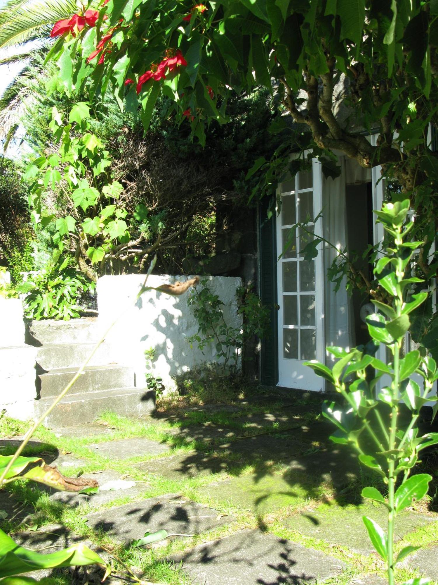Castelo Branco  Quinta Das Buganvilias المظهر الخارجي الصورة