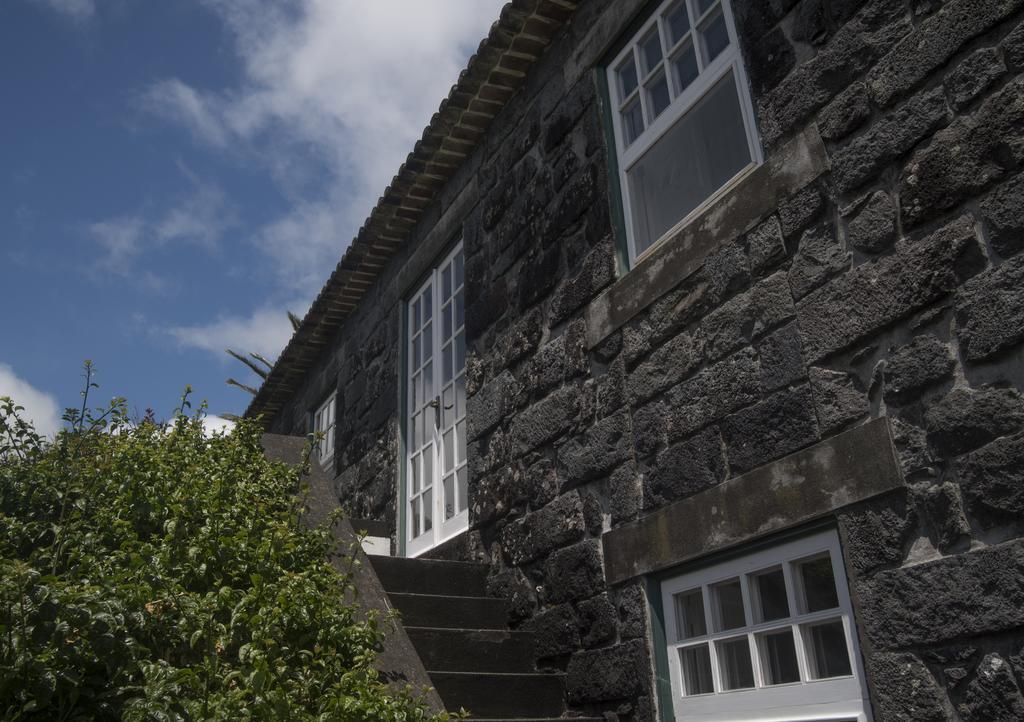 Castelo Branco  Quinta Das Buganvilias المظهر الخارجي الصورة